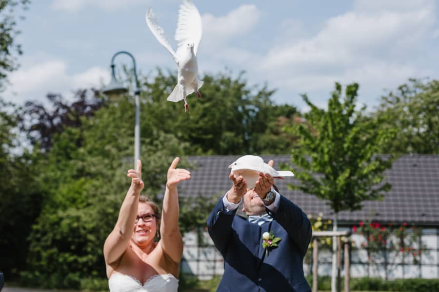 Hochzeit Tauben