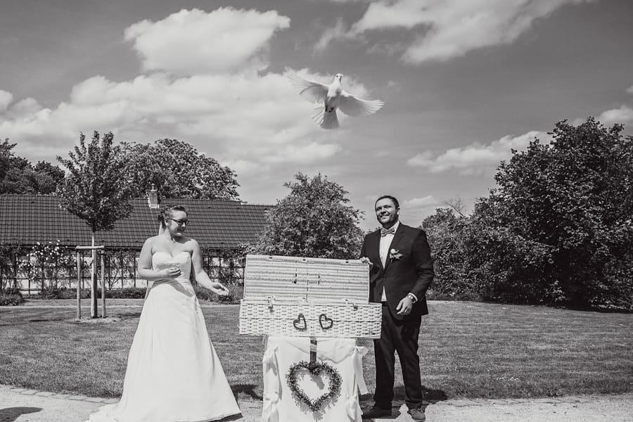 Hochzeit Tauben